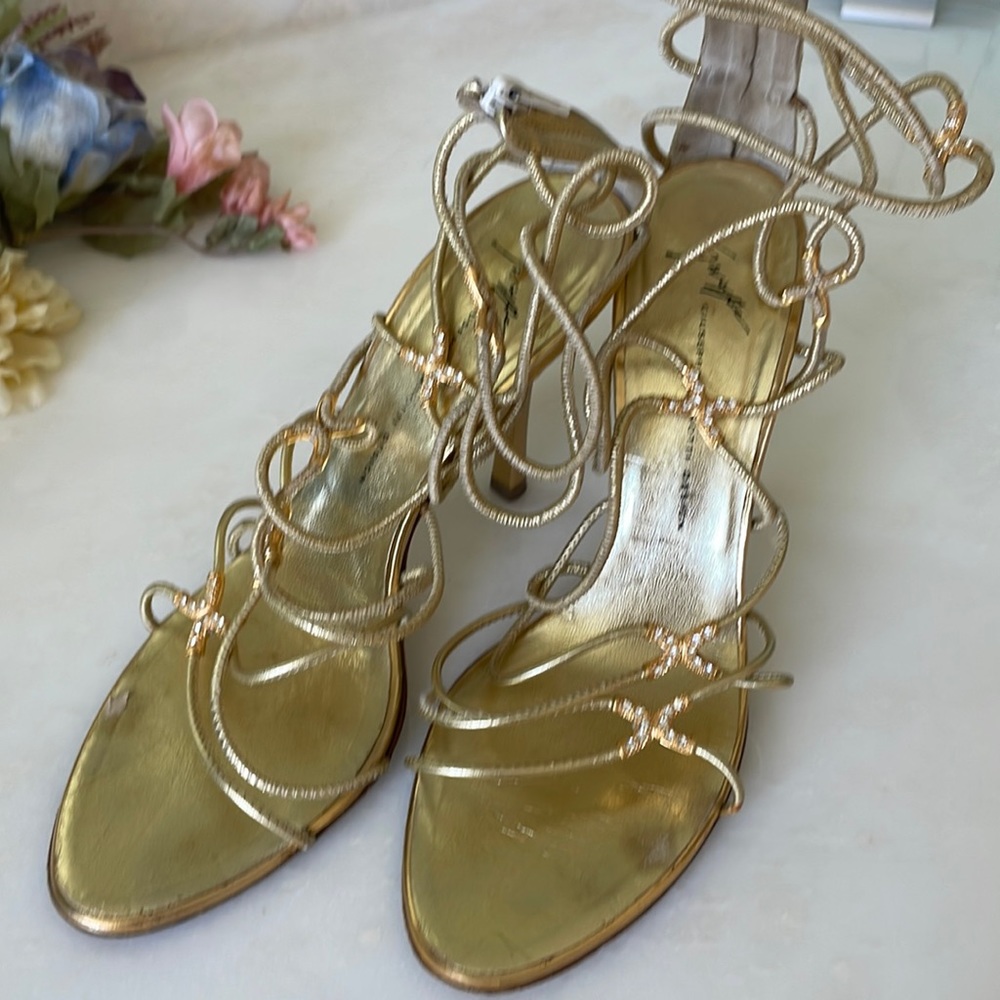 Beautiful Zanotti heels